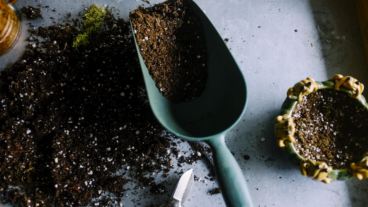Plantes dangereuses pour chiens et chats